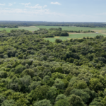 Land-for-Sale-LandCo-Farmland-for-Sale-2024-07-16-at-3.15.52-PM