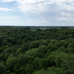 Land-for-Sale-LandCo-Farmland-for-Sale-2024-07-16-at-3.15.46-PM