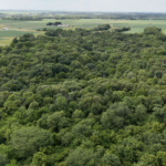 Land-for-Sale-LandCo-Farmland-for-Sale-2024-07-16-at-3.16.07-PM