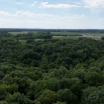 Land-for-Sale-LandCo-Farmland-for-Sale-2024-07-16-at-3.16.14-PM