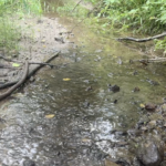 Land-for-Sale-LandCo-Farmland-for-Sale-2024-07-16-at-3.16.21-PM