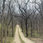 Land-for-Sale-LandCo-Farmland-for-Sale-2024-07-11-at-10.22.09-AM