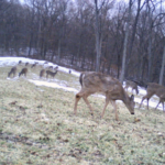 Land-for-Sale-LandCo-Farmland-for-Sale-2024-07-11-at-10.26.50-AM