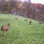 Land-for-Sale-LandCo-Farmland-for-Sale-2024-07-11-at-10.26.20-AM