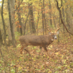 Land-for-Sale-LandCo-Farmland-for-Sale-2024-07-11-at-10.26.14-AM