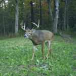 Land-for-Sale-LandCo-Farmland-for-Sale-2024-07-11-at-10.26.25-AM