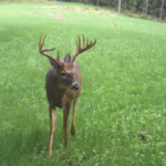 Land-for-Sale-LandCo-Farmland-for-Sale-2024-07-11-at-10.26.39-AM