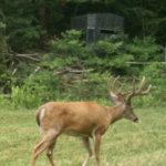 Land-for-Sale-LandCo-Farmland-for-Sale-2024-07-11-at-10.26.45-AM