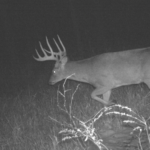 Land-for-Sale-LandCo-Farmland-for-Sale-2024-07-11-at-10.26.56-AM