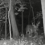 Land-for-Sale-LandCo-Farmland-for-Sale-2024-07-11-at-10.27.14-AM