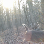 Land-for-Sale-LandCo-Farmland-for-Sale-2024-07-11-at-10.28.48-AM