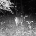 Land-for-Sale-LandCo-Farmland-for-Sale-2024-07-11-at-10.28.28-AM