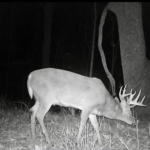 Land-for-Sale-LandCo-Farmland-for-Sale-2024-07-11-at-10.28.20-AM