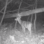 Land-for-Sale-LandCo-Farmland-for-Sale-2024-07-11-at-10.29.07-AM-1