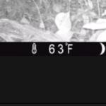 Land-for-Sale-LandCo-Farmland-for-Sale-2024-07-11-at-10.29.15-AM-1