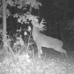 Land-for-Sale-LandCo-Farmland-for-Sale-2024-07-11-at-10.29.12-AM