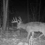 Land-for-Sale-LandCo-Farmland-for-Sale-2024-07-11-at-10.29.26-AM