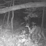 Land-for-Sale-LandCo-Farmland-for-Sale-2024-07-11-at-10.28.57-AM