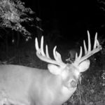 Land-for-Sale-LandCo-Farmland-for-Sale-2024-07-11-at-10.29.41-AM