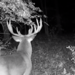 Land-for-Sale-LandCo-Farmland-for-Sale-2024-07-11-at-10.29.36-AM