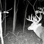 Land-for-Sale-LandCo-Farmland-for-Sale-2024-07-11-at-10.29.51-AM