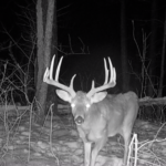 Land-for-Sale-LandCo-Farmland-for-Sale-2024-07-11-at-10.29.30-AM