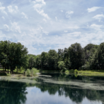 Land-for-Sale-LandCo-Farmland-for-Sale-2024-07-11-at-9.31.28-AM