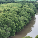 Land-for-Sale-LandCo-Farmland-for-Sale-2024-07-03-at-10.40.25-AM