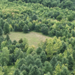 Land-for-Sale-LandCo-Farmland-for-Sale-2024-07-03-at-10.42.13-AM