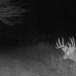 Land-for-Sale-LandCo-Farmland-for-Sale-2024-07-03-at-10.41.51-AM