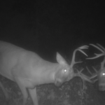 Land-for-Sale-LandCo-Farmland-for-Sale-2024-07-03-at-10.41.45-AM