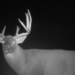 Land-for-Sale-LandCo-Farmland-for-Sale-2024-07-03-at-10.42.07-AM