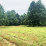 Land-for-Sale-LandCo-Farmland-for-Sale-2024-07-03-at-10.42.40-AM
