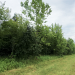 Land-for-Sale-LandCo-Farmland-for-Sale-2024-07-03-at-10.42.20-AM