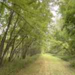 Land-for-Sale-LandCo-Farmland-for-Sale-2024-07-03-at-10.45.06-AM