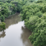 Land-for-Sale-LandCo-Farmland-for-Sale-2024-07-03-at-10.45.16-AM