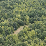 Land-for-Sale-LandCo-Farmland-for-Sale-2024-07-03-at-10.46.28-AM