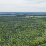 Land-for-Sale-LandCo-Farmland-for-Sale-2024-07-03-at-10.46.51-AM