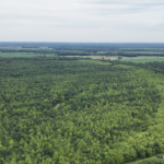 Land-for-Sale-LandCo-Farmland-for-Sale-2024-07-03-at-10.48.27-AM