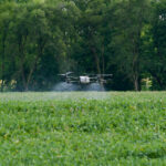 AgFly Drone Spraying