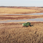 Land for Sale LandCo Farmland for Sale 2025-01-07 at 10.54.19 AM