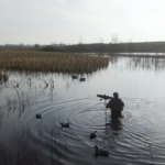 Land for Sale LandCo Farmland for Sale 2025-01-07 at 10.53.21 AM