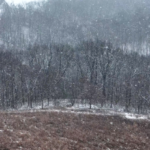 Land for Sale LandCo Farmland for Sale 2025-01-04 at 11.51.53 AM