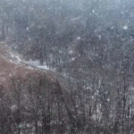 Land for Sale LandCo Farmland for Sale 2025-01-04 at 11.52.25 AM