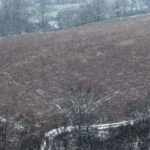 Land for Sale LandCo Farmland for Sale 2025-01-04 at 11.54.31 AM