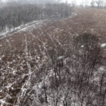 Land for Sale LandCo Farmland for Sale 2025-01-04 at 11.54.43 AM