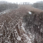 Land for Sale LandCo Farmland for Sale 2025-01-04 at 11.55.24 AM