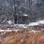 Land for Sale LandCo Farmland for Sale 2025-01-04 at 11.55.41 AM