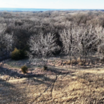 Land for Sale LandCo Farmland for Sale 2025-01-04 at 10.51.10 AM