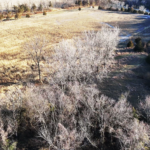 Land for Sale LandCo Farmland for Sale 2025-01-04 at 10.55.23 AM